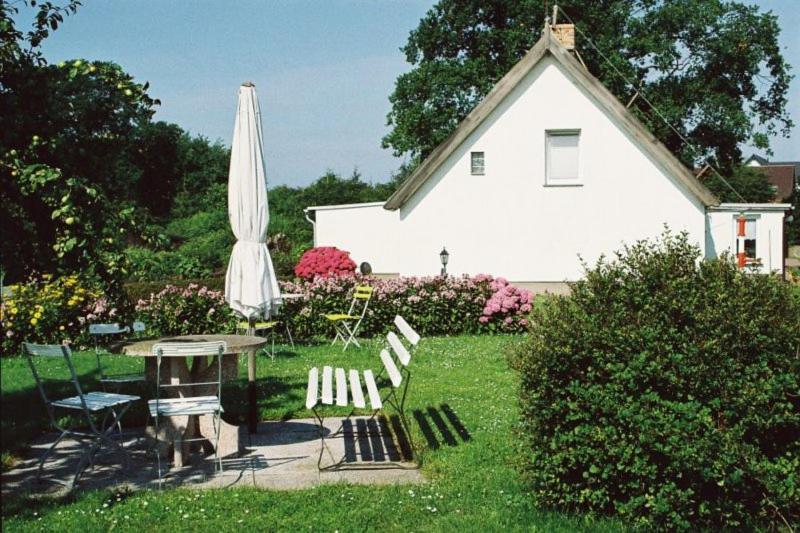 Ferienhof Schoen Apartment Zempin Exterior photo